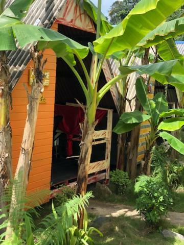Beach Shack Chalet - Garden View Aframe Small Unit Kampong Juara Ngoại thất bức ảnh